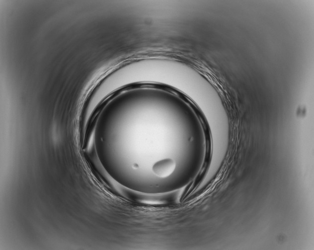X0000099450293200805091511
