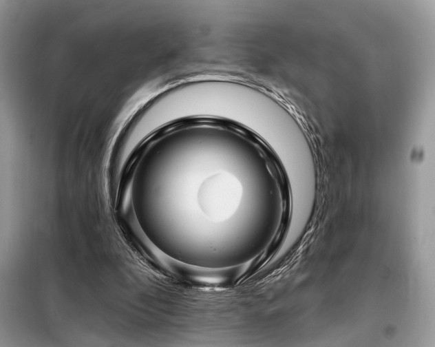 X0000099450296200805091511