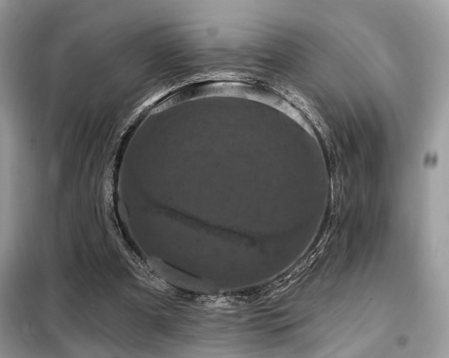 X0000099450297200805091511