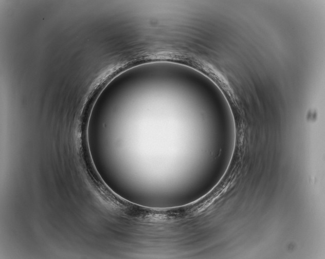 X0000099450298200805091511