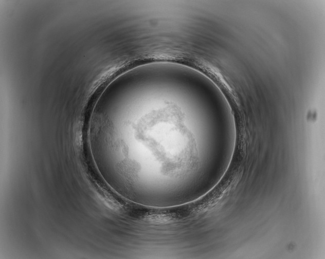 X0000099450299200805091511