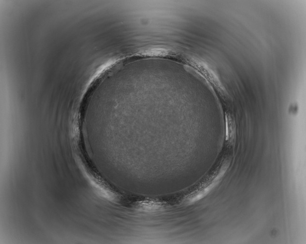 X0000099450300200805091511