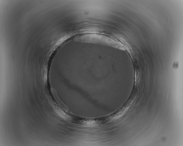 X0000099450301200805091511