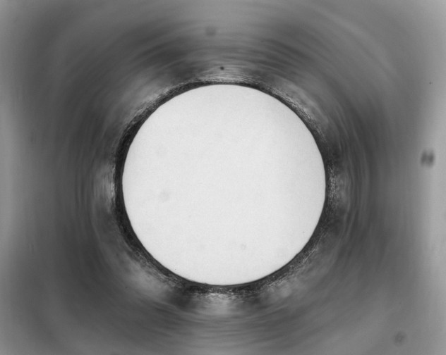 X0000099450302200805091511