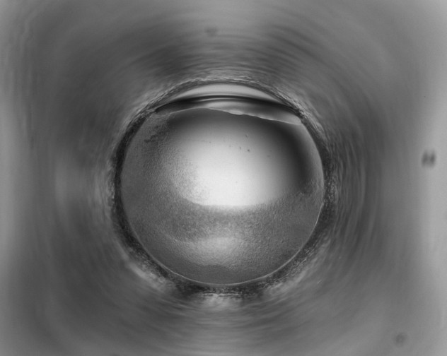 X0000099450303200805091511