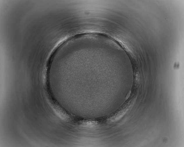X0000099450304200805091511