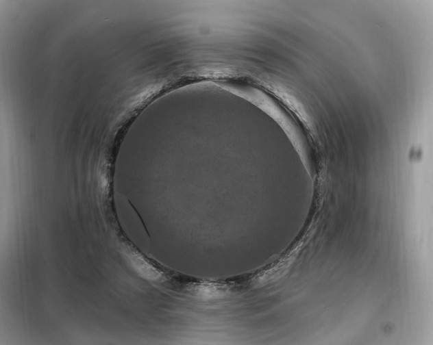 X0000099450305200805091511
