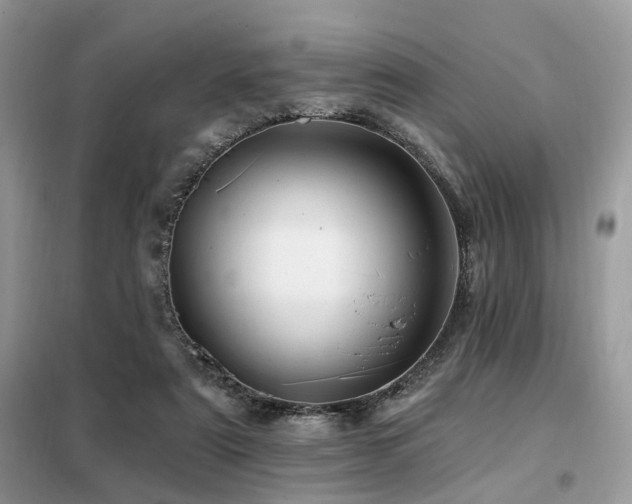 X0000099450307200805091511