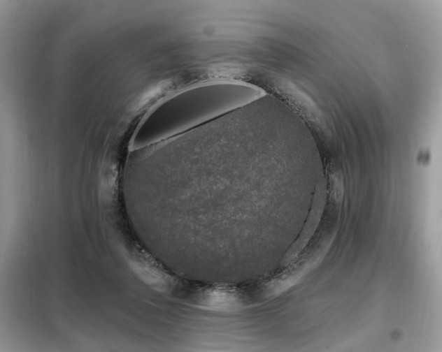 X0000099450308200805091511