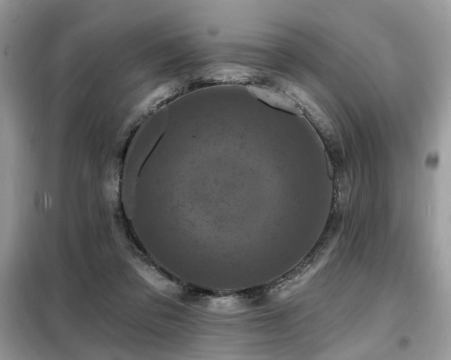 X0000099450309200805091511
