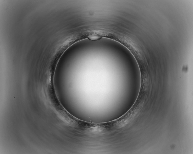 X0000099450310200805091511