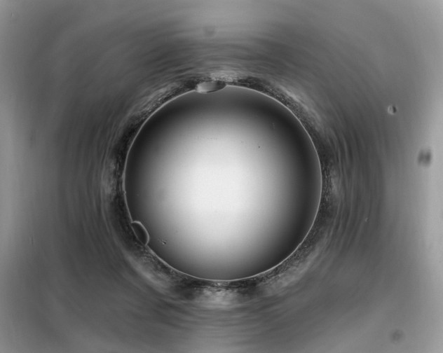 X0000099450311200805091511