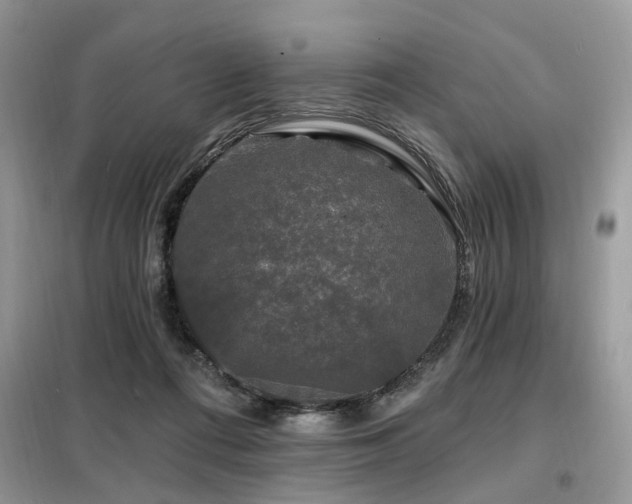 X0000099450312200805091511