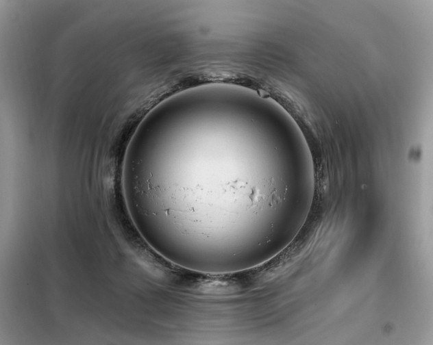 X0000099450315200805091511