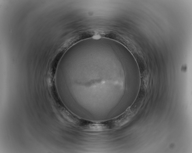 X0000099450316200805091511
