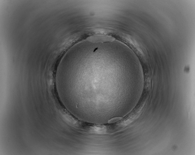 X0000099450317200805091511