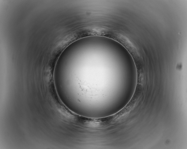 X0000099450318200805091511