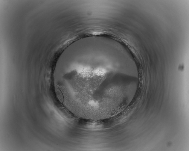 X0000099450319200805091511