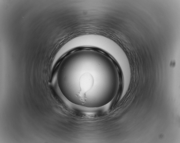 X0000099450320200805091511