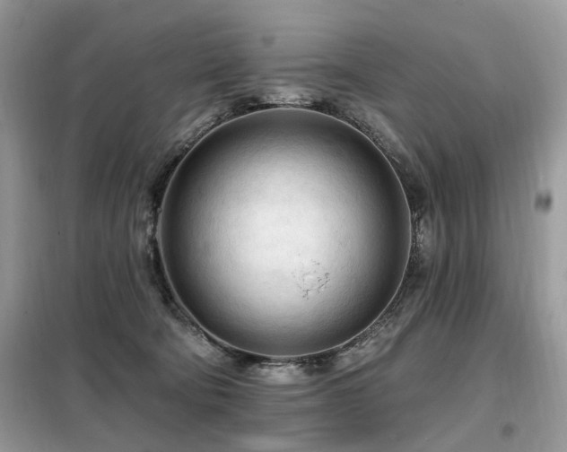 X0000099450322200805091511