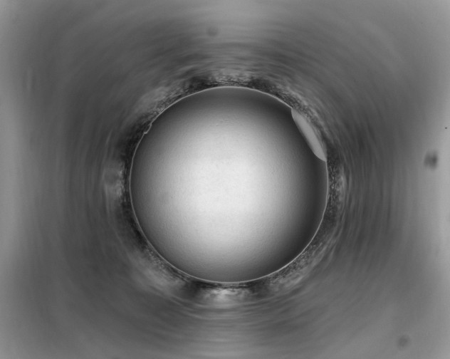 X0000099450323200805091511