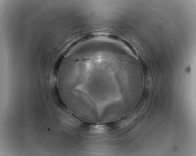 X0000099450324200805091511
