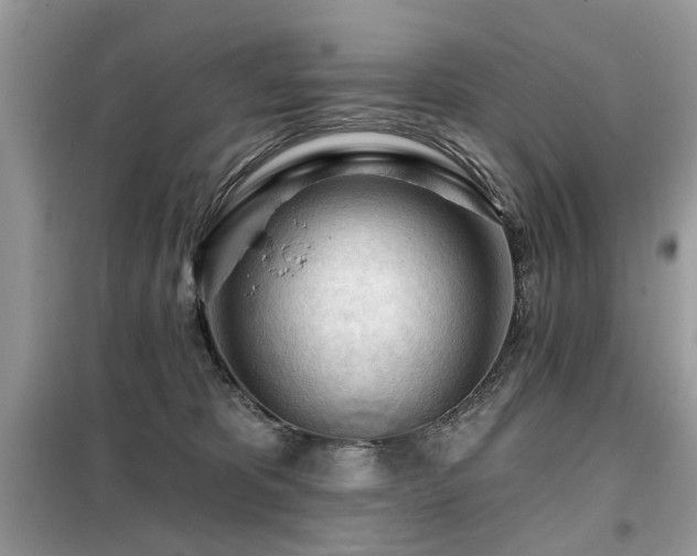 X0000099450325200805091511