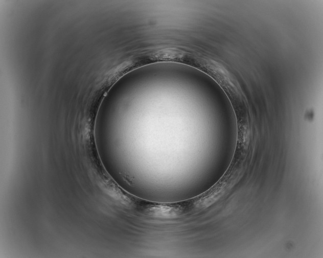 X0000099450326200805091511