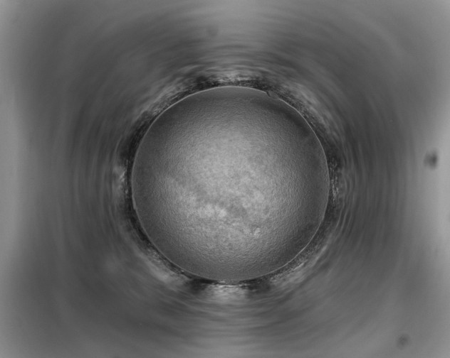 X0000099450327200805091511