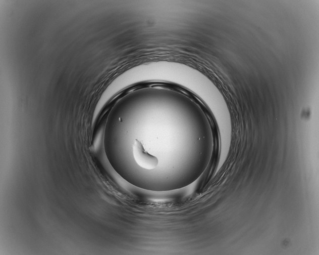 X0000099450328200805091511