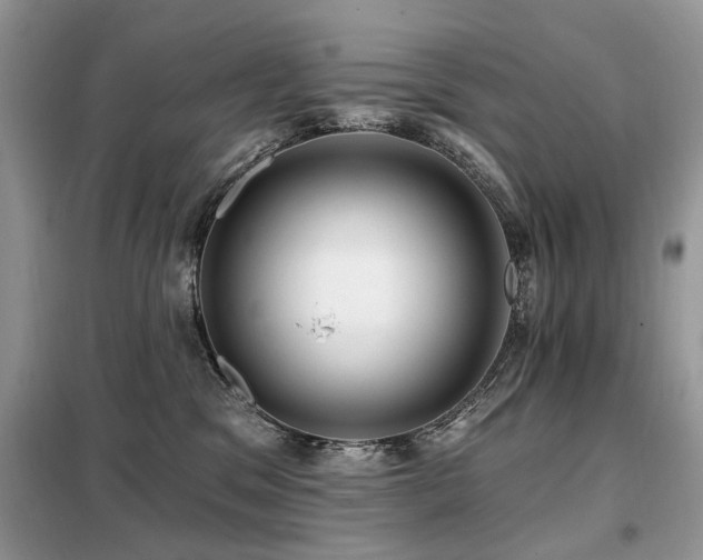 X0000099450329200805091511