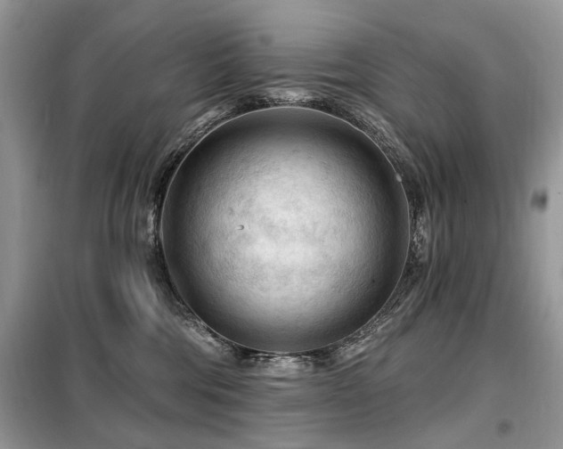 X0000099450330200805091511