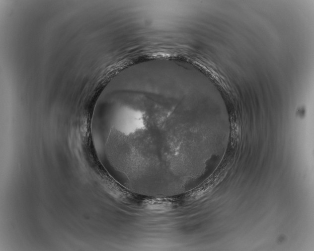 X0000099450331200805091511