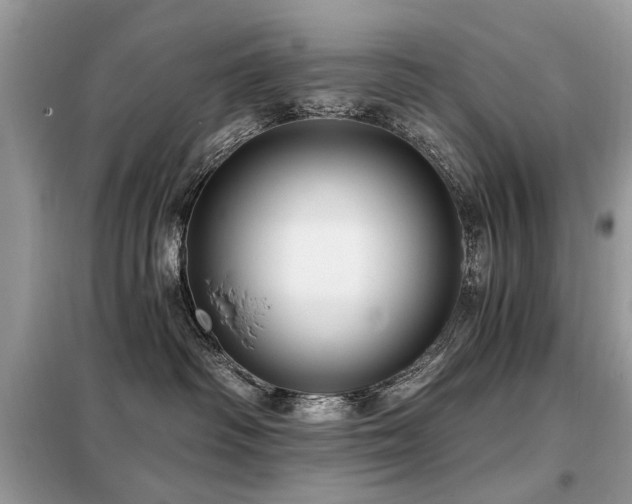 X0000099450334200805091511