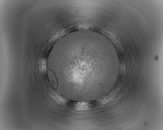 X0000099450335200805091511