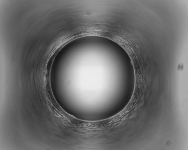 X0000099450338200805091510