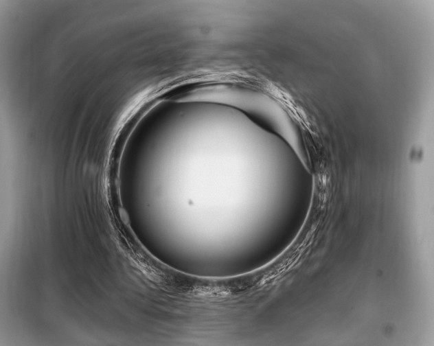 X0000099450340200805091510