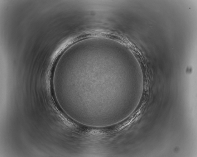 X0000099450341200805091510