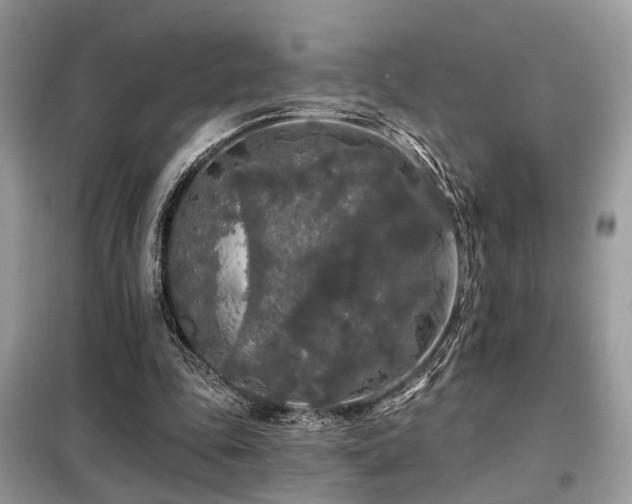 X0000099450343200805091510