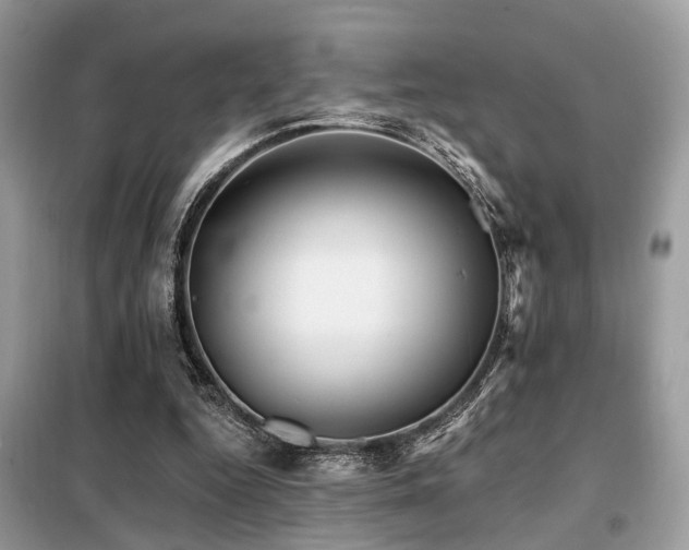 X0000099450344200805091510