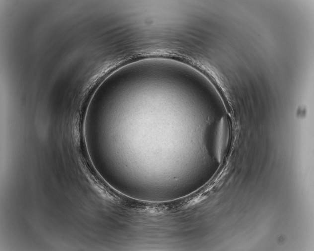 X0000099450345200805091510