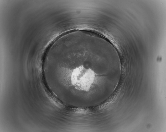X0000099450347200805091510