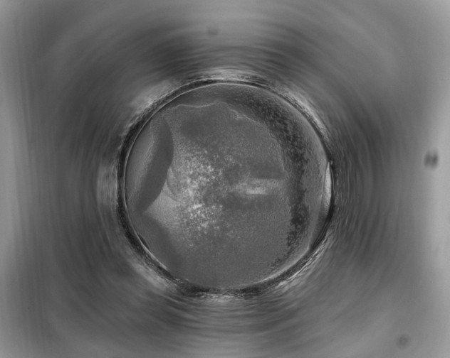 X0000099450349200805091510