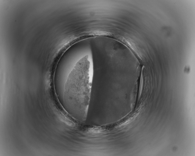 X0000099450351200805091510