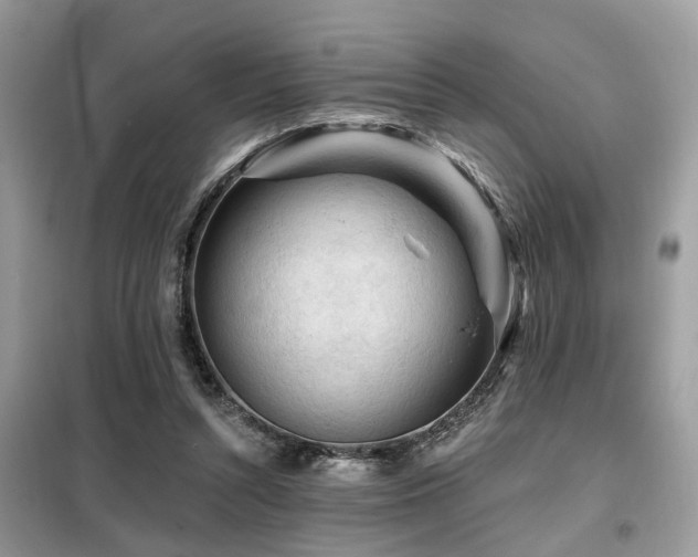 X0000099450352200805091510