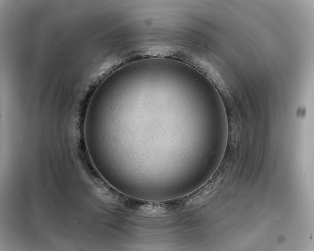 X0000099450354200805091510