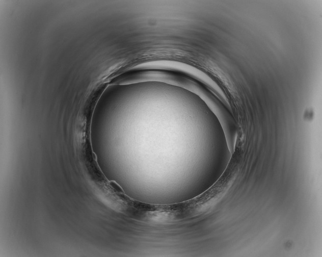 X0000099450356200805091510