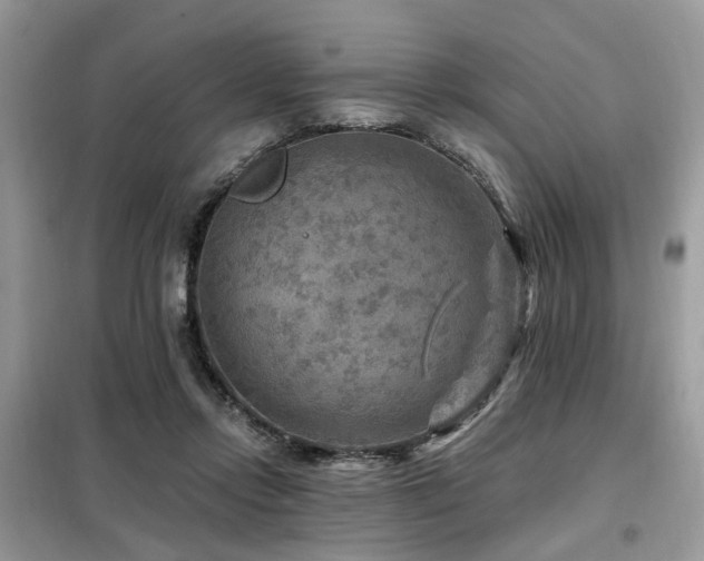 X0000099450358200805091510