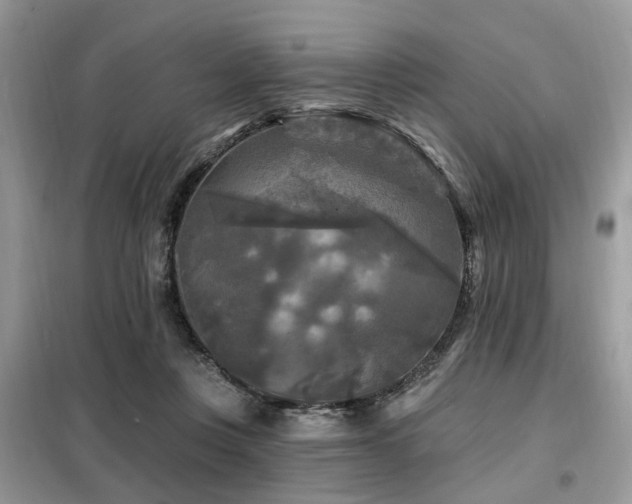 X0000099450359200805091510