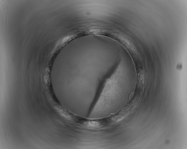 X0000099450361200805091510